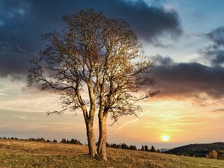 IMG_1887