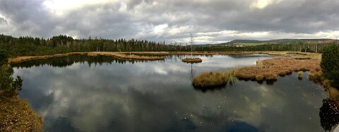 IMG_1946_2