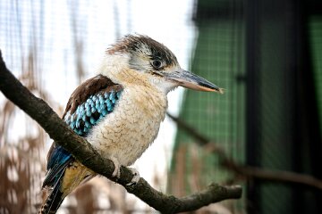 IMG_3486