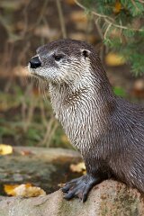 IMG_3708