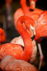 IMG_3758