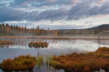 IMG_4720_2
