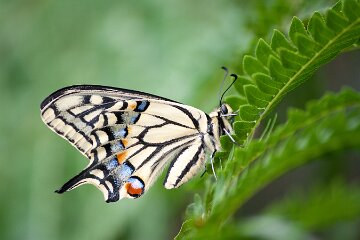 IMG_5069