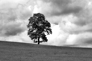 IMG_7495_1