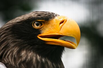 IMG_7680