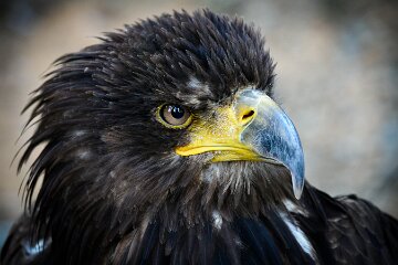 IMG_8280