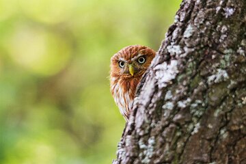 IMG_9045